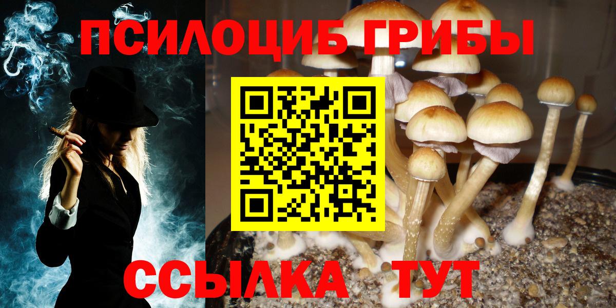 Галлюциногенные грибы Cubensis Невинномысск